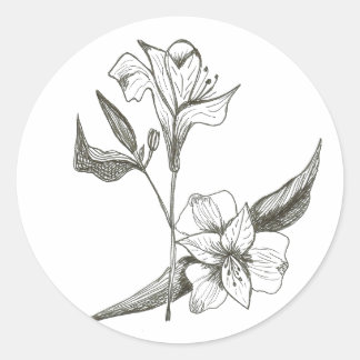Lys en noir et blanc autocollant