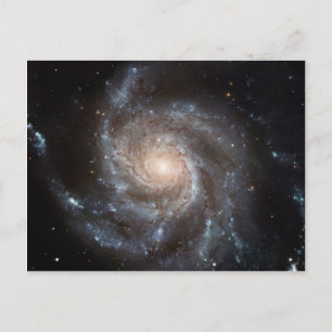 M101 Pinwheel Spiral Galaxy NASA Postcard