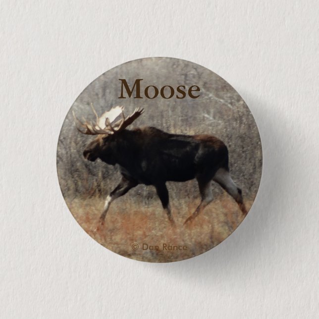 M10 Bull Moose 1 Inch Round Button (Front)