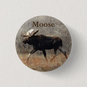 M10 Bull Moose 1 Inch Round Button