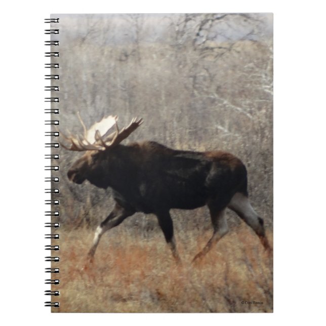 M10 Bull Moose Notebook (Front)