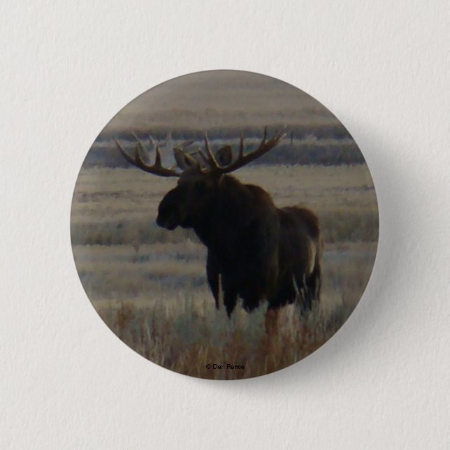 M1 Bull Moose 2 Inch Round Button (Front)