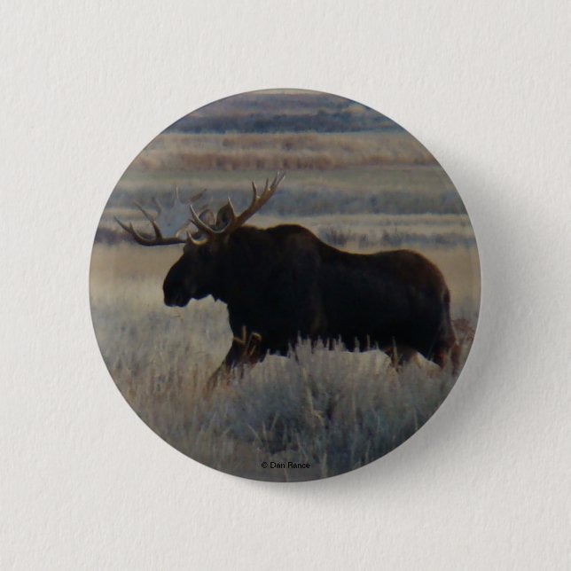 M2 Bull Moose 2 Inch Round Button (Front)