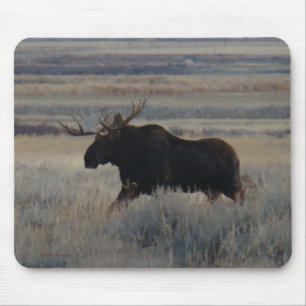 M2 Bull Moose Mouse Pad