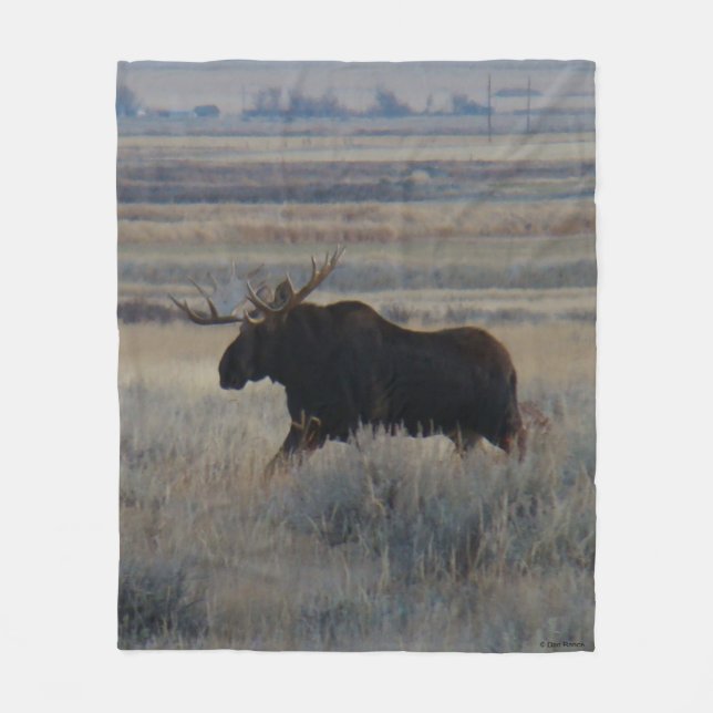 M2 Bull Moose on the Prairies Fleece Blanket (Front)