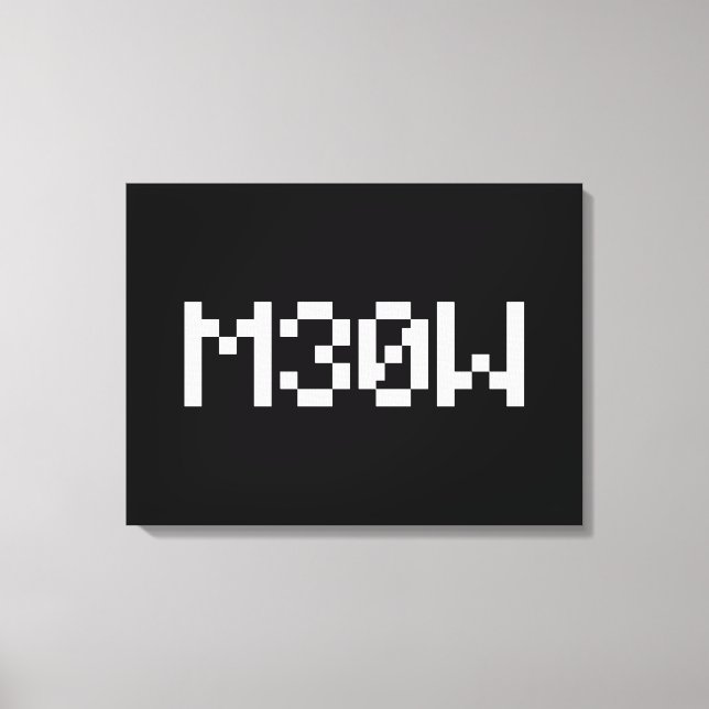 M30W [Leetspeak Animal Sounds] Canvas Print (Front)