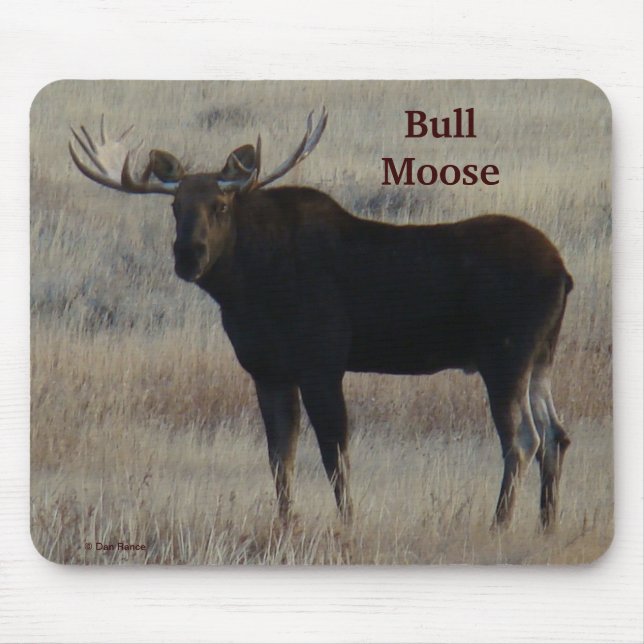 M4 Bull Moose Mouse Pad (Front)