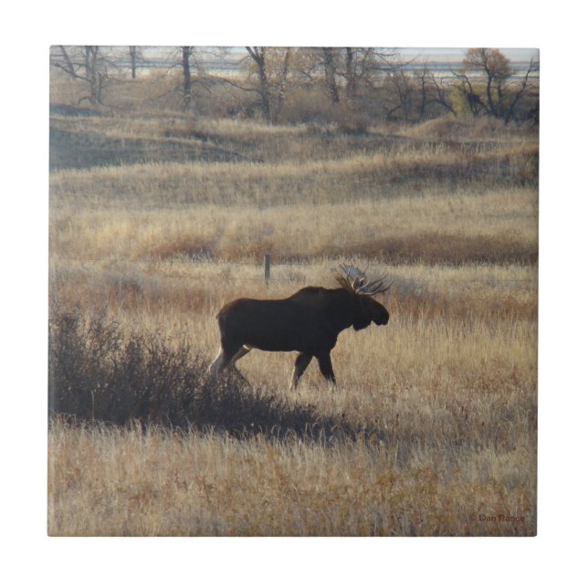 M5 Bull Moose and Sand Hills Tile (Front)