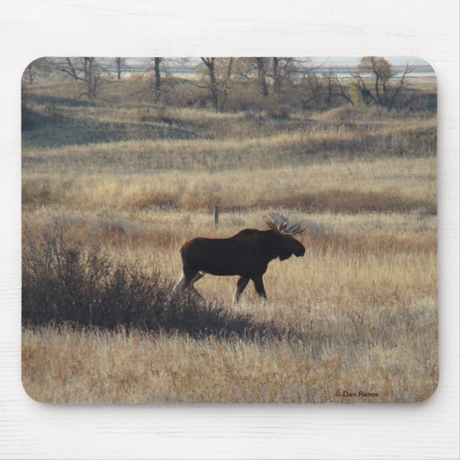 M5 Bull Moose Mouse Pad (Front)