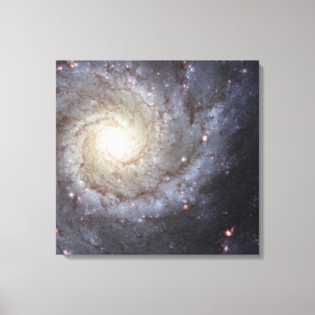 M74 Galaxy Canvas Print (Front)
