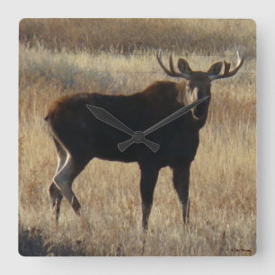 M7 Young Bull Moose Square Wall Clock