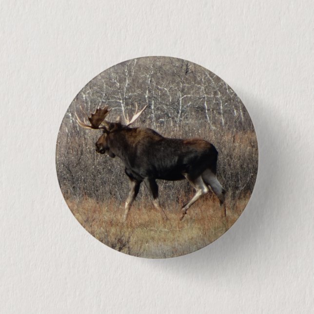 M8 Bull Moose 1 Inch Round Button (Front)
