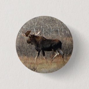 M8 Bull Moose 1 Inch Round Button
