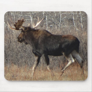 M8 Bull Moose in Scrub Brush Mouse Pad