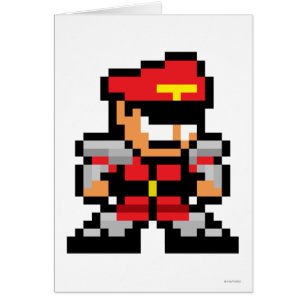 m. Bison à 8 bits