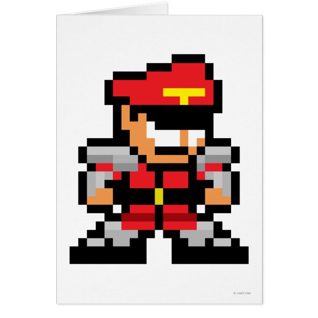 m. Bison à 8 bits (Devant)