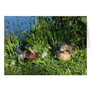 M. et Mme Mallard