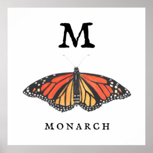 "M" for Monarch Print, Value Poster Paper (Matte)