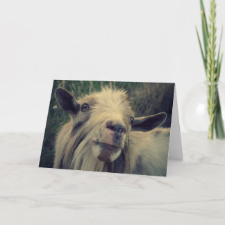 M. Gotye - Carte vierge