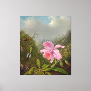 M. HEADE - Fighting Hummingbirds with Pink Orchids Canvas Print