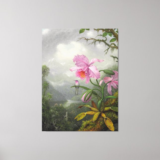 M. HEADE - Hummingbird Perched on the Orchid Plant Canvas Print (Front)