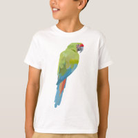 M is for Military Macaw.Military Macaw Illustratio