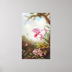 M. J. HEADE - Hummingbird and Two Types of Orchids Canvas Print