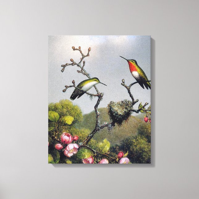 M. J. HEADE - Ruby Throat of North America (1865) Canvas Print (Front)