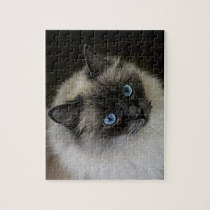 M`Lady Jigsaw Puzzle