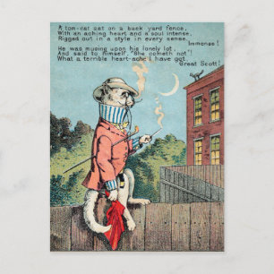 M. Morse Carte de commerce de chat no 1 (de 4)