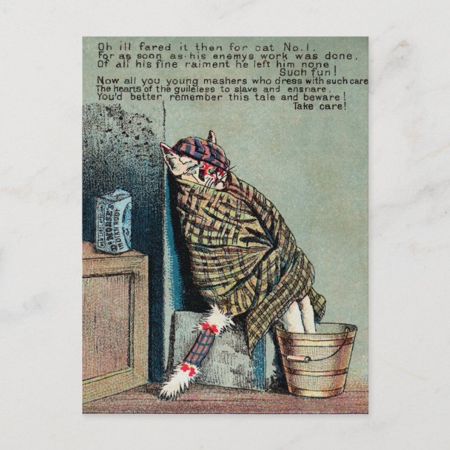 M. Morse Carte de commerce de chat no 4 (de 4) (Devant)