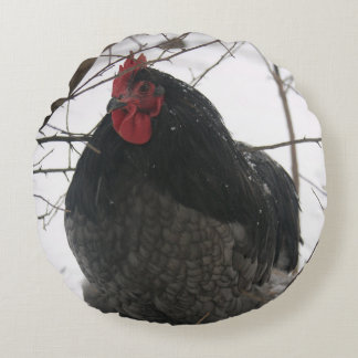 M. Precious - Coq sur le Coussin rond