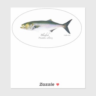 M Vinyl Bluefish Oval Sticker
