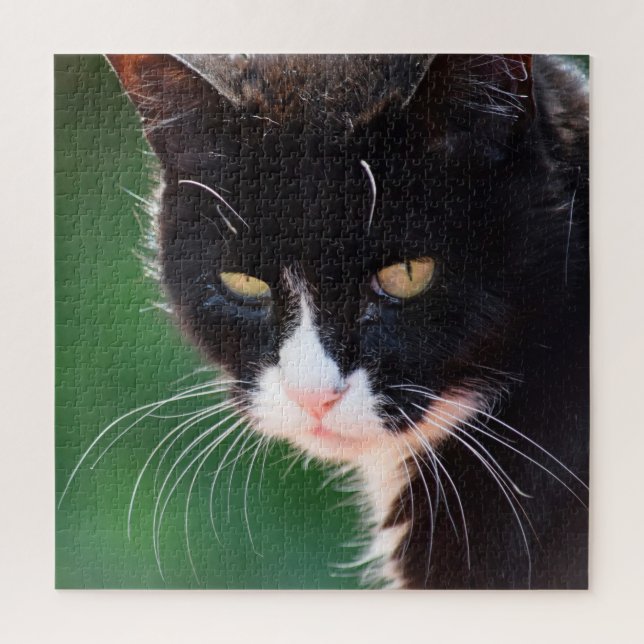 M. Whiskers - Cat Jigsaw Puzzle - 20x20 - 676 pc (Vertical)