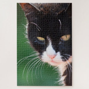 M. Whiskers - Cat Jigsaw Puzzle - 20x30 - 1014 pc