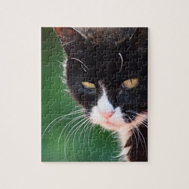 M. Whiskers - Cat Jigsaw Puzzle - 8x10 - 100 pc (Vertical)