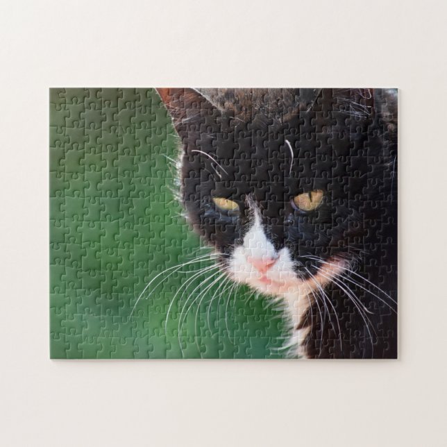 M. Whiskers - Cat Puzzle (Horizontal)