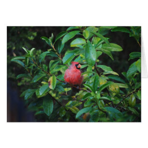 Ma carte de cardinal de vertus