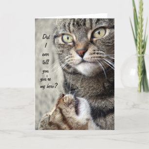 Ma carte de chat Hero