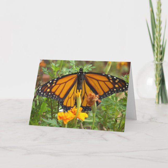 Ma carte de voeux Papillon Monarque (Devant)
