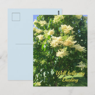 Ma carte postale chérie