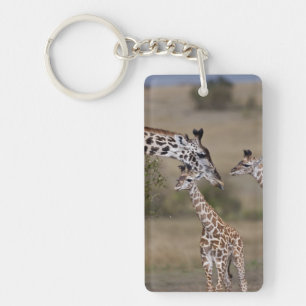 Maasai Giraffe (Giraffe Tippelskirchi) Keychain