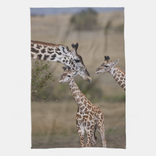 Maasai Giraffe (Giraffe Tippelskirchi) Kitchen Towel