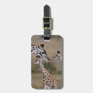 Maasai Giraffe (Giraffe Tippelskirchi) Luggage Tag
