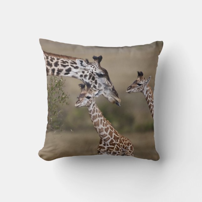 Maasai Giraffe (Giraffe Tippelskirchi) Throw Pillow (Front)