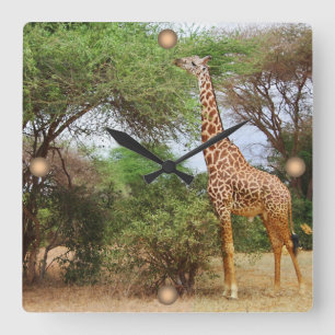 Maasai Giraffe Square Wall Clock