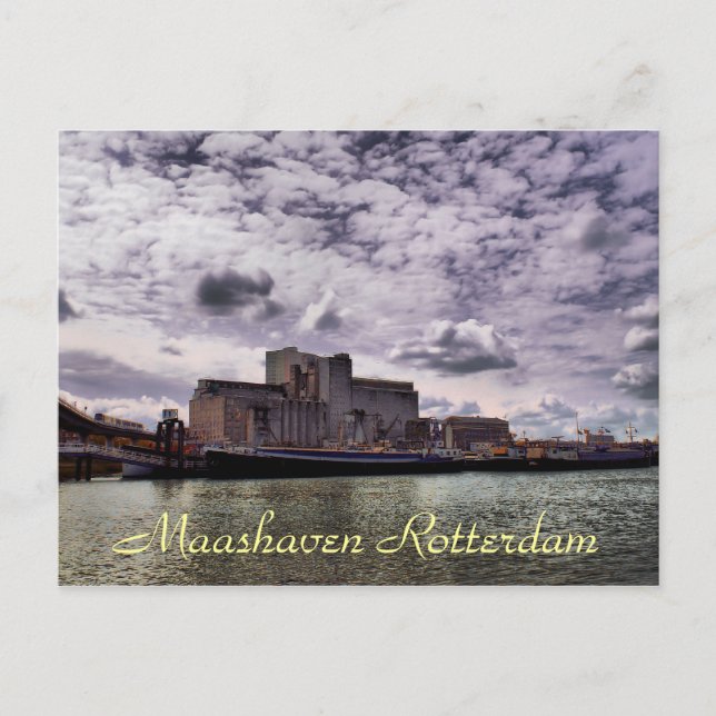 Maashaven Rotterdam Postcard (Front)