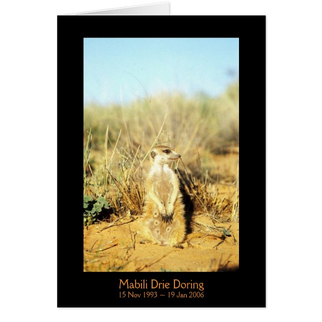 Mabili - carte de légendes (Devant)