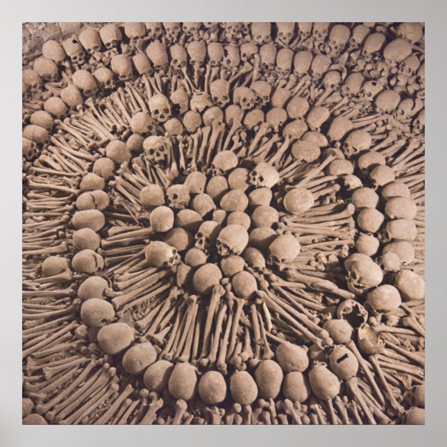 Macabre Artistry Catacombs In Lima Poster (Front)