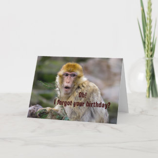 Macaca sylvanus card
